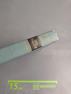 Собрание сочинений в четырнадцати томах. Том десятый. Повести и рассказы (1872-1886)
