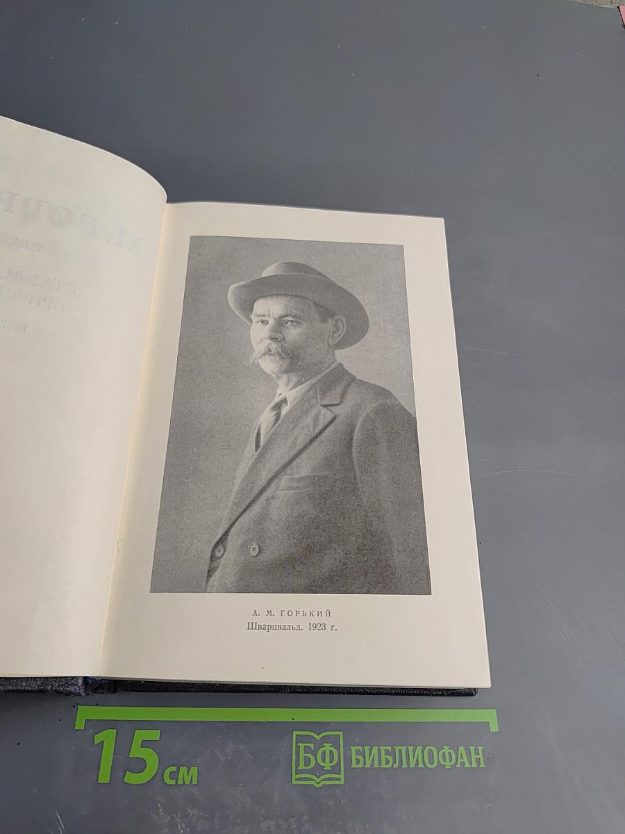 Статьи, речи, приветствия. 1907-1928. Том 24