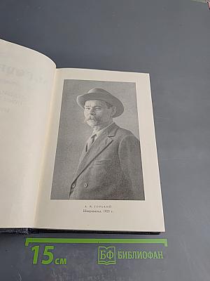 Статьи, речи, приветствия. 1907-1928. Том 24