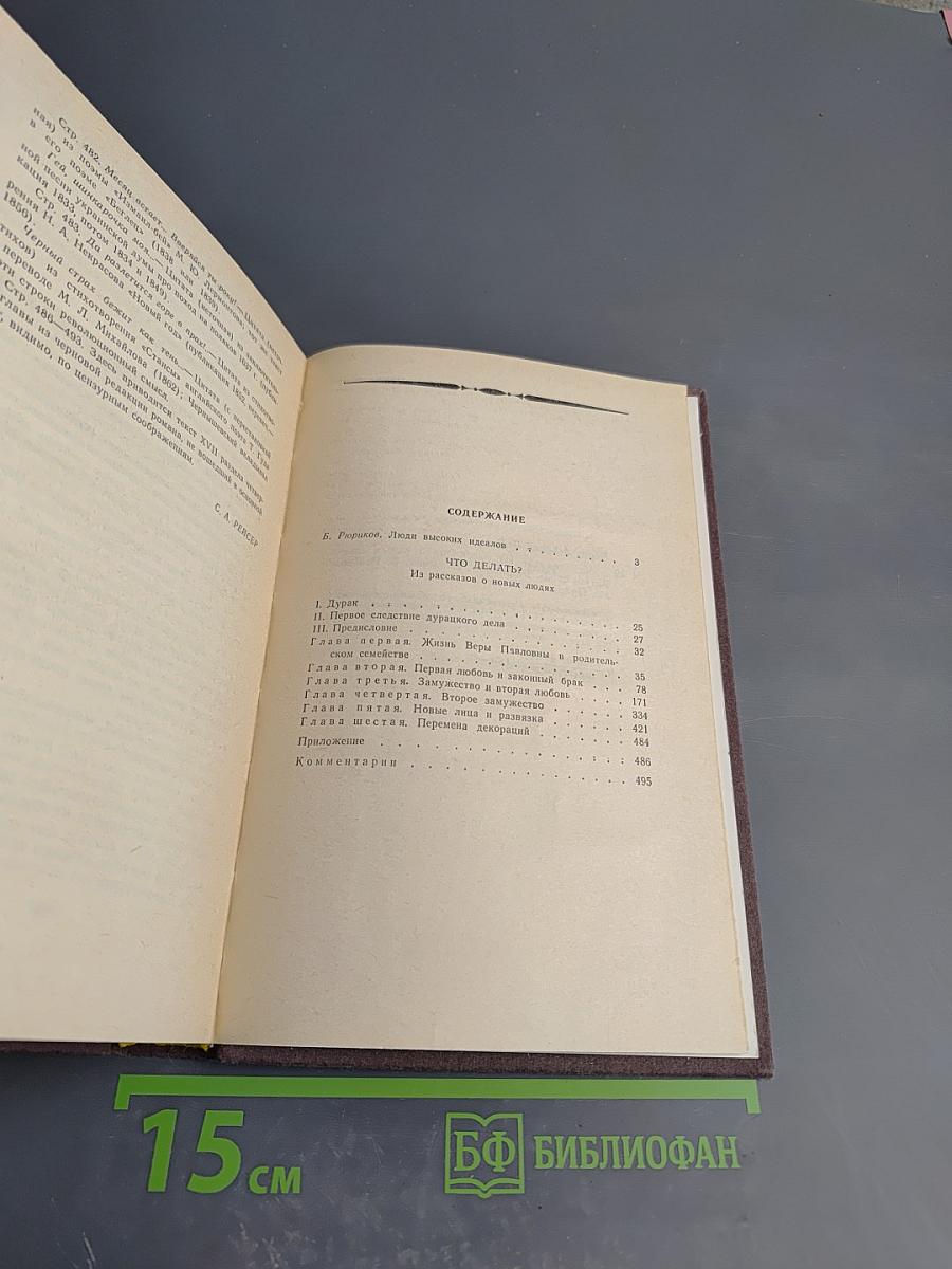 Что делать?