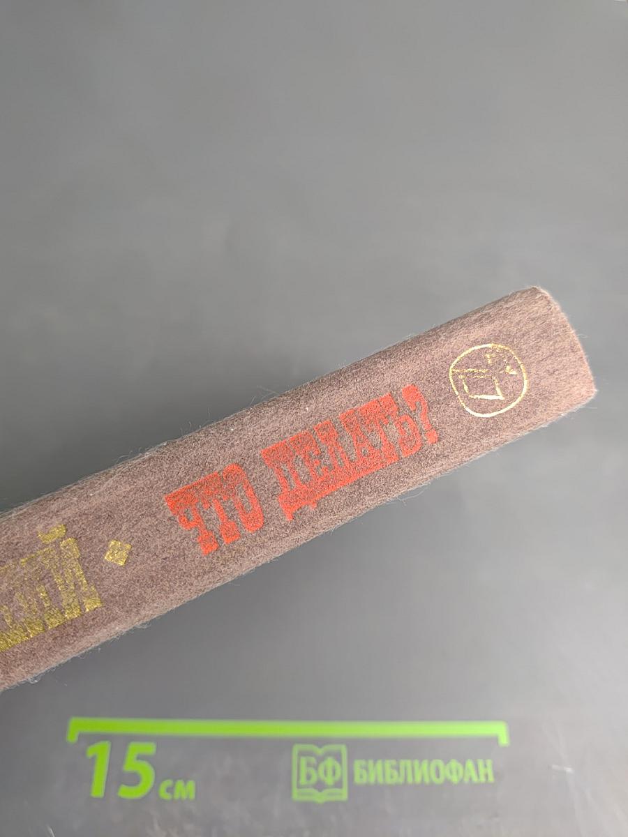 Что делать?