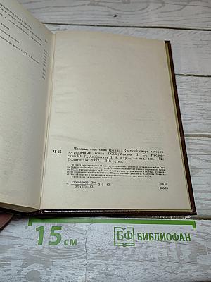 Часовые советских границ