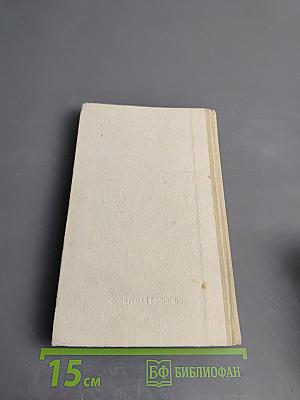 Хаджи-Мурат