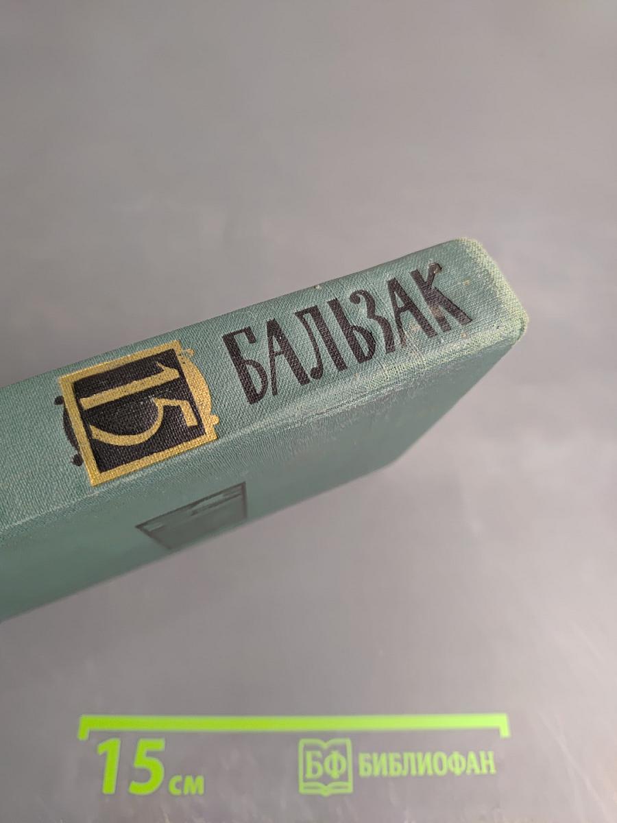 Собрание сочинений в 24 томах. Том 15. Человеческая комедия