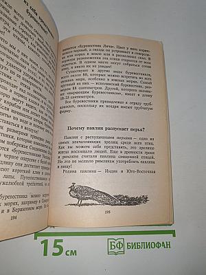 Все обо всём