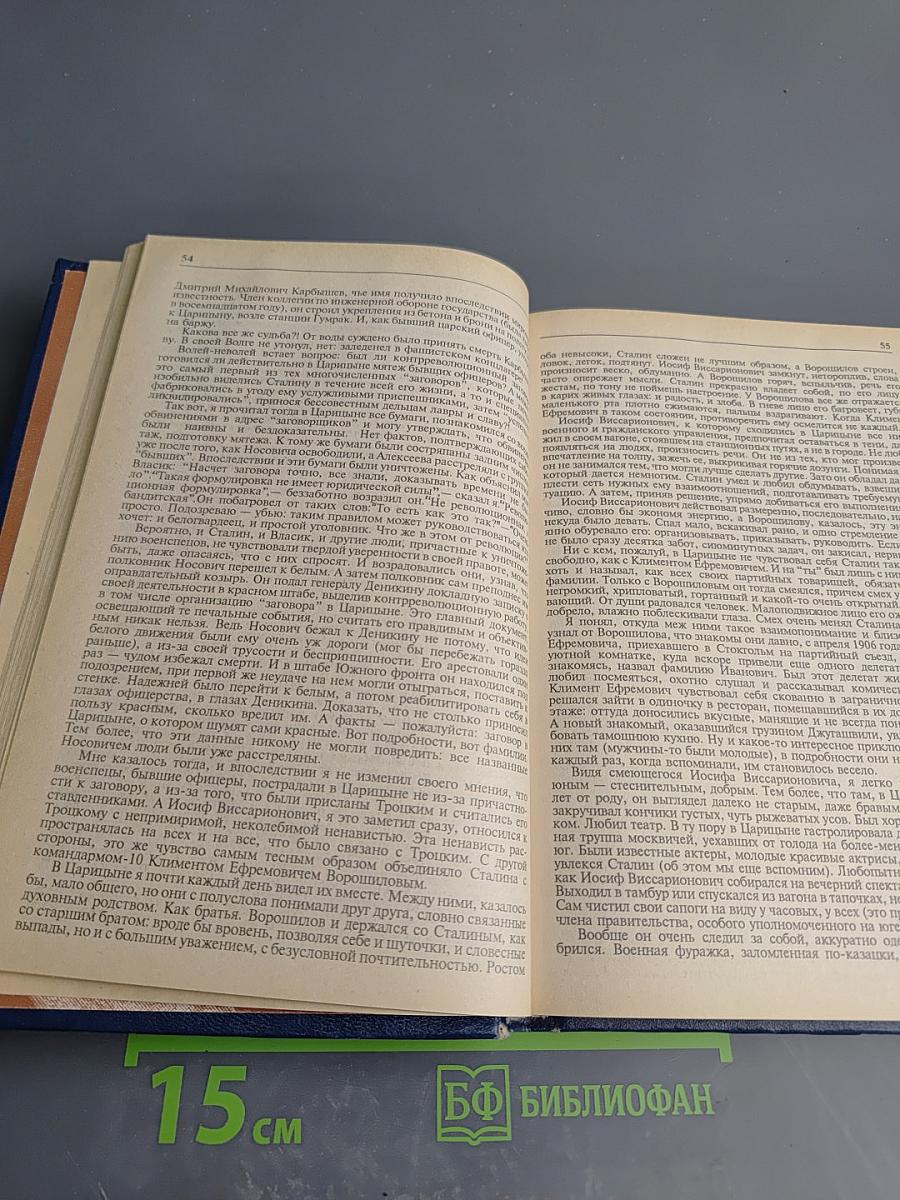 Тайный советник вождя Том 1