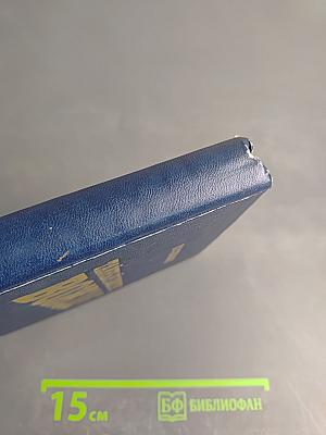 Тайный советник вождя Том 1