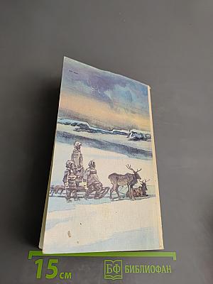 Два капитана. Книга вторая
