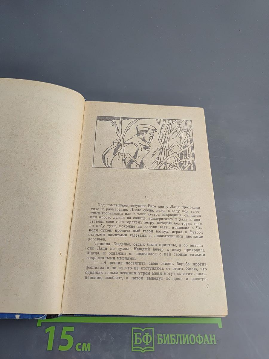 Ночи становятся короче