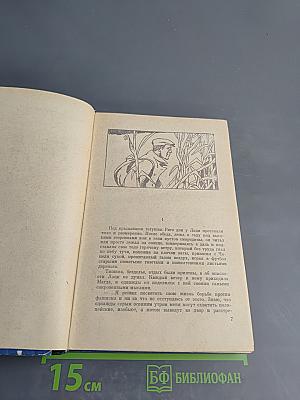 Ночи становятся короче