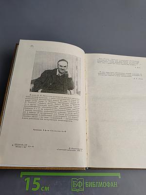 Тема о России. Россия и революция в литературе начала XX века