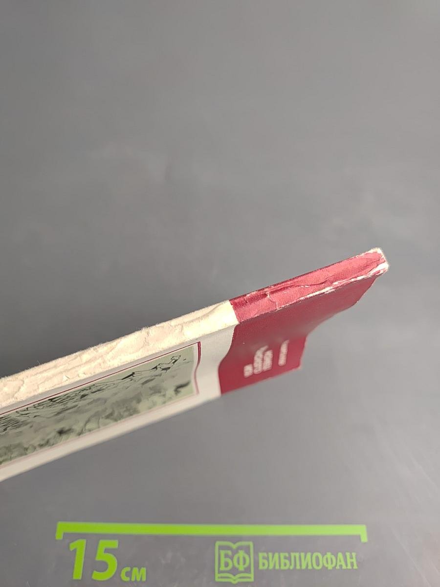 Конец Ордынского Ига