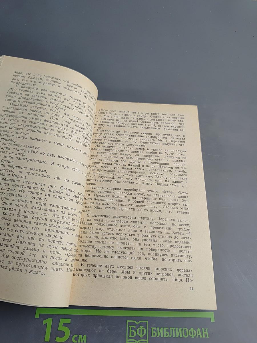 Под тропиком Козерога