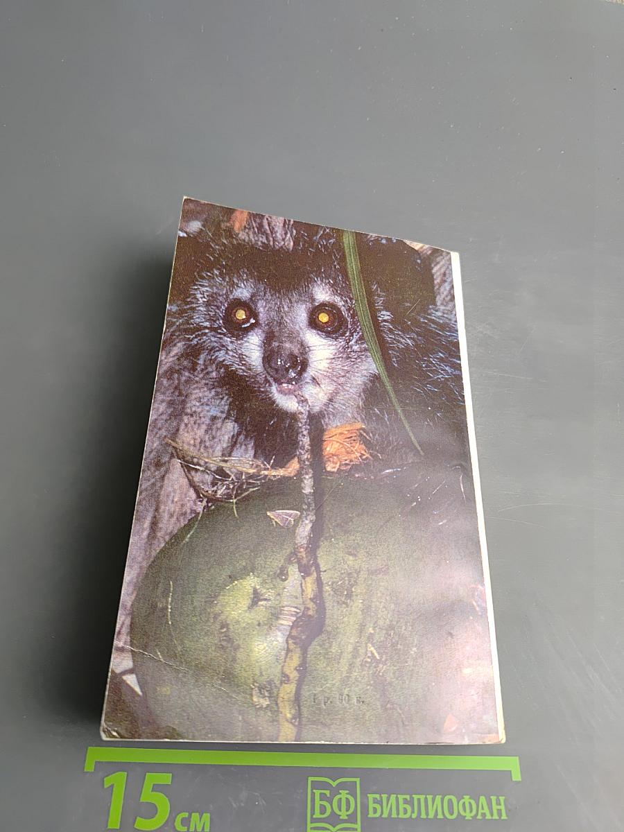 Под тропиком Козерога