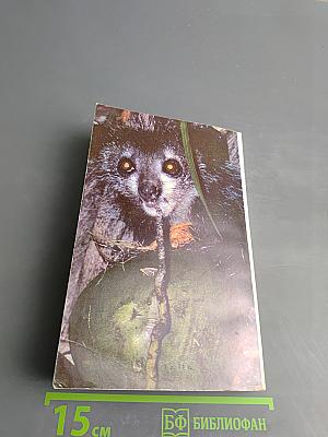 Под тропиком Козерога