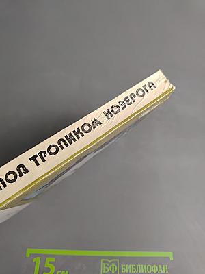 Под тропиком Козерога