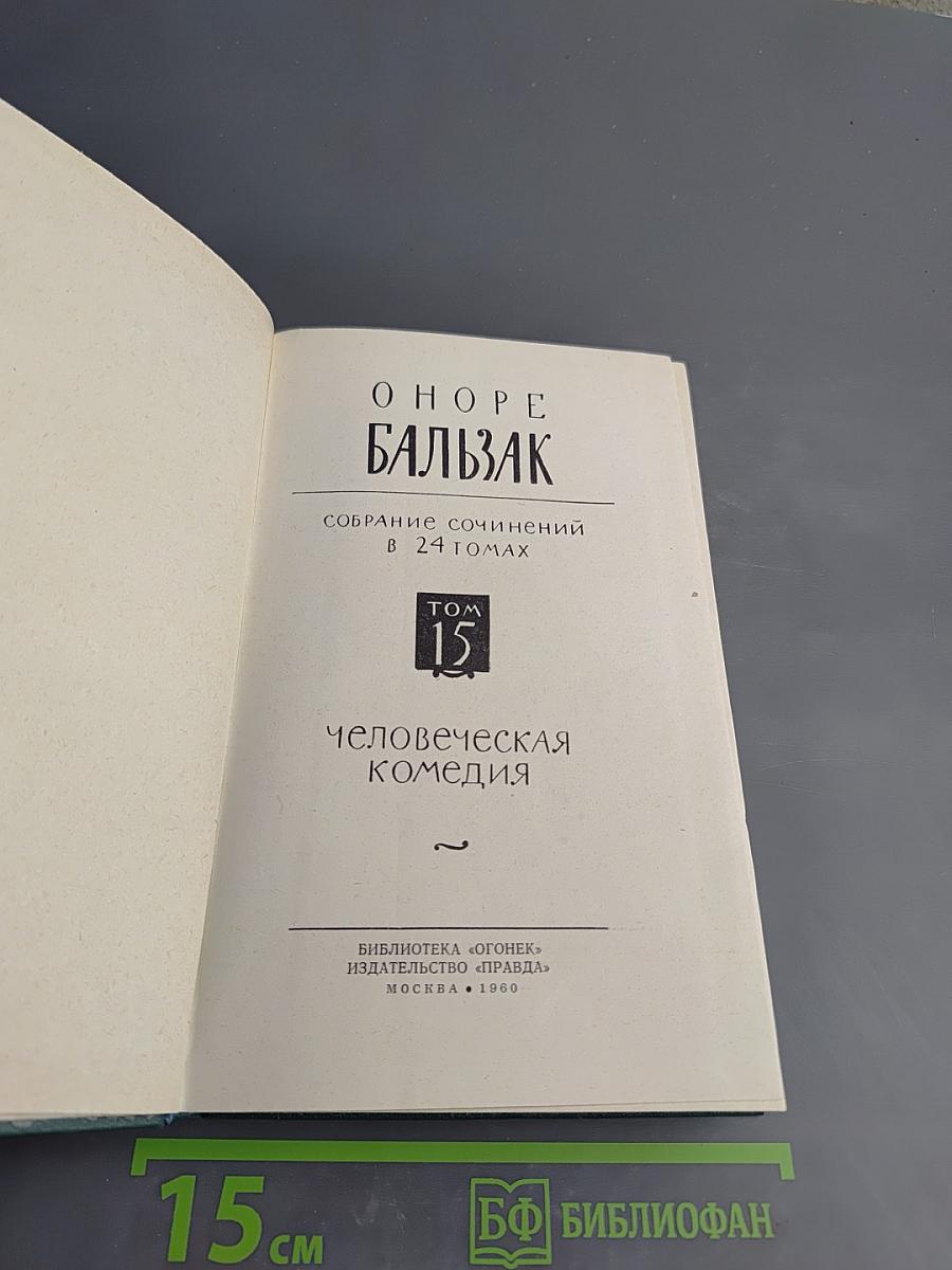Человеческая комедия. Сцены Парижской жизни. Мелкие буржуа. Том 15