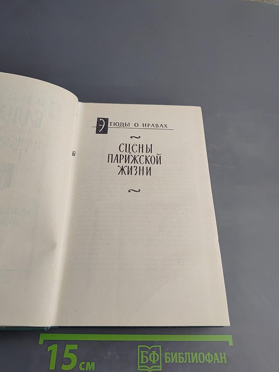 Человеческая комедия. Сцены Парижской жизни. Мелкие буржуа. Том 15