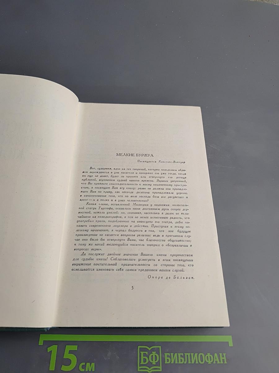 Человеческая комедия. Сцены Парижской жизни. Мелкие буржуа. Том 15