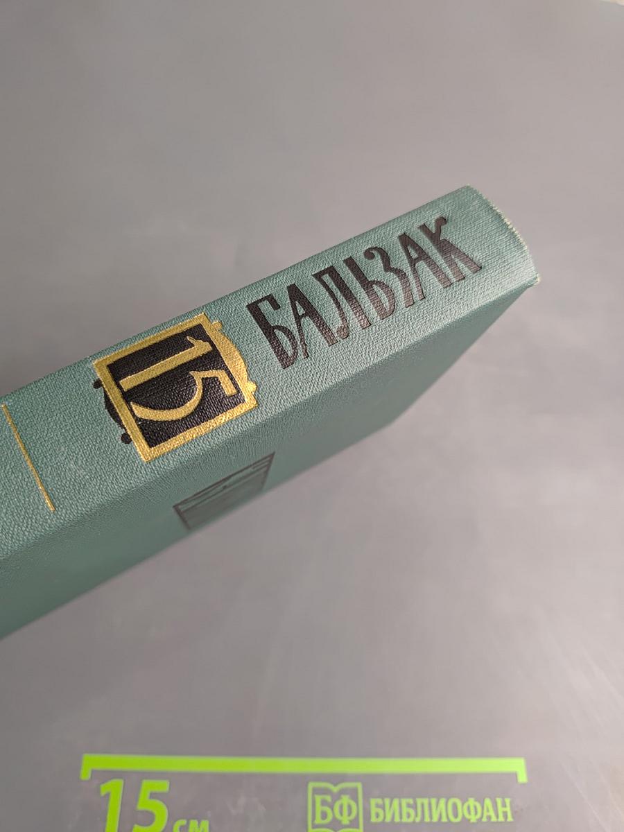 Человеческая комедия. Сцены Парижской жизни. Мелкие буржуа. Том 15