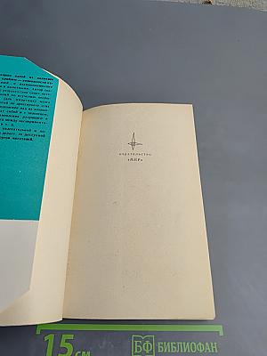 Человек и дельфин