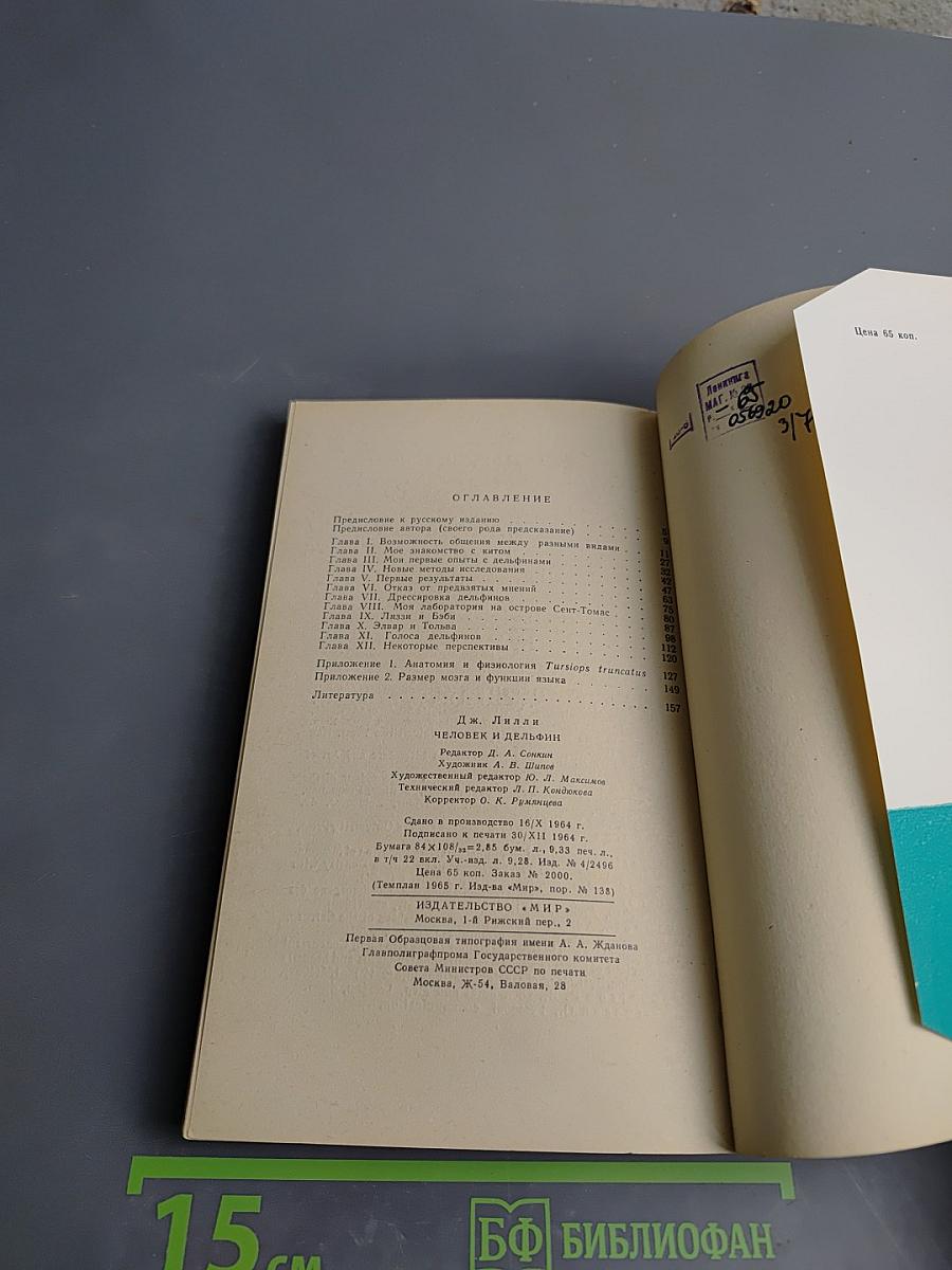 Человек и дельфин