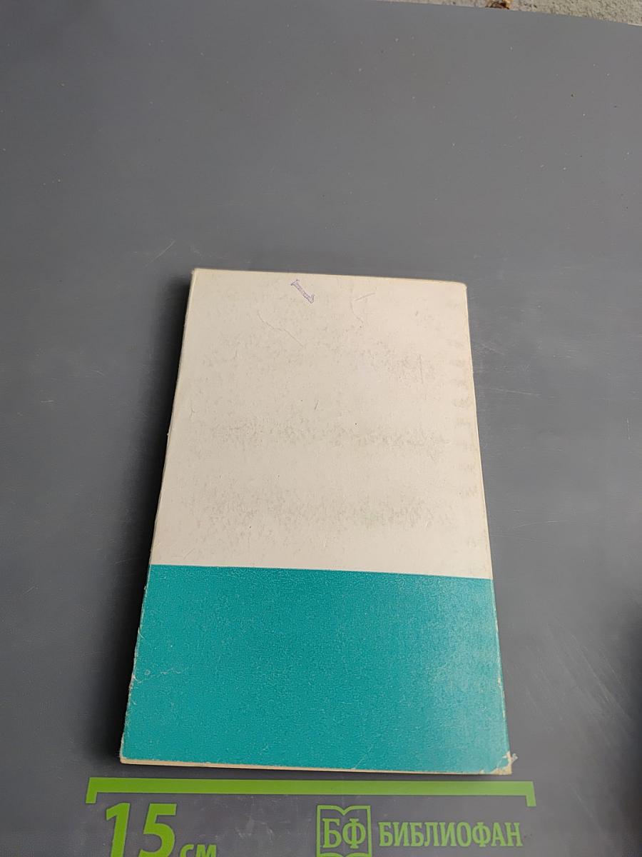 Человек и дельфин