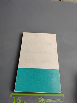 Человек и дельфин