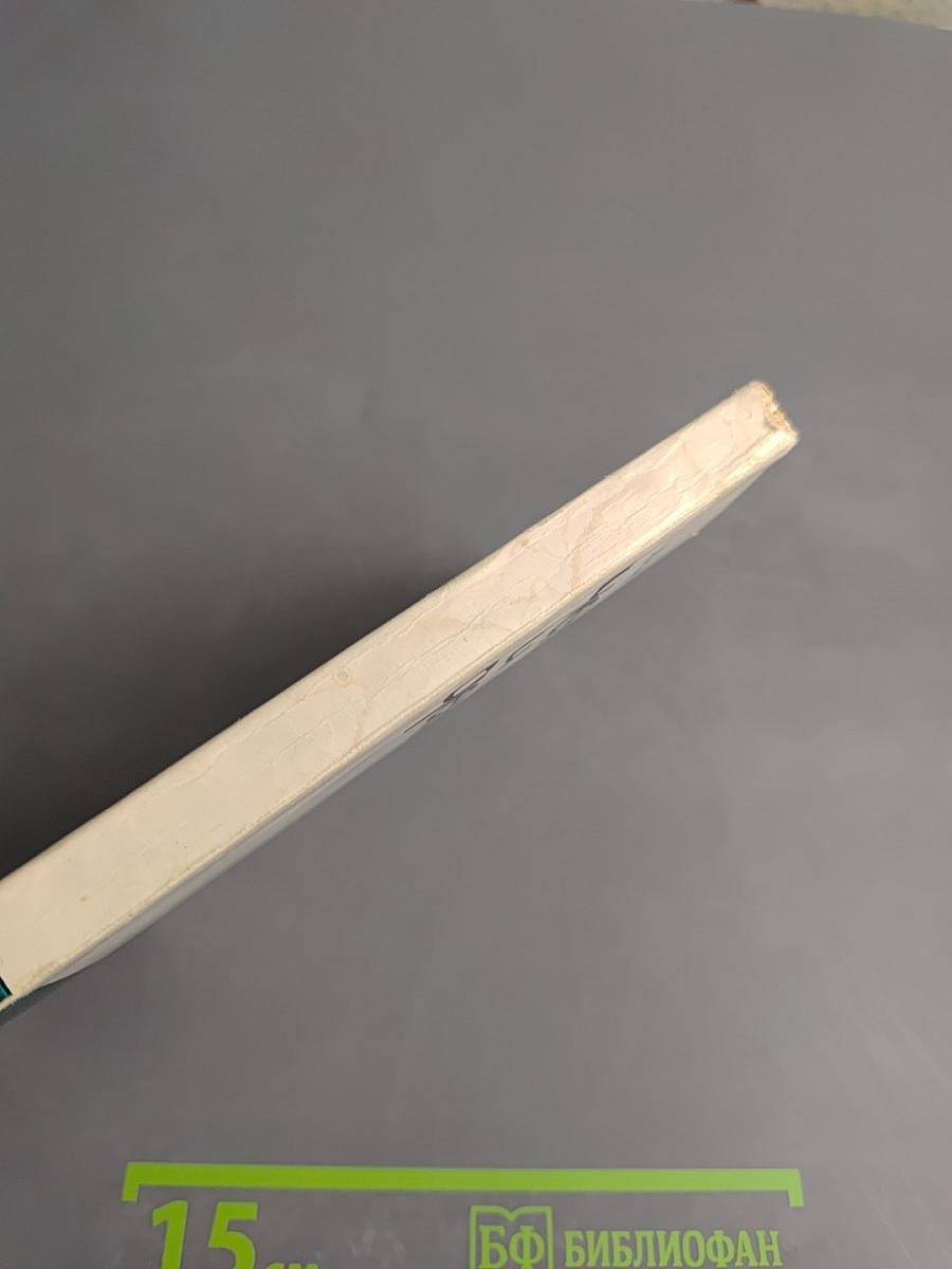 Человек и дельфин