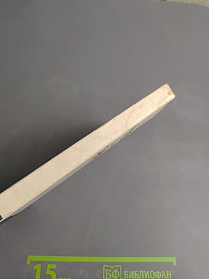 Человек и дельфин