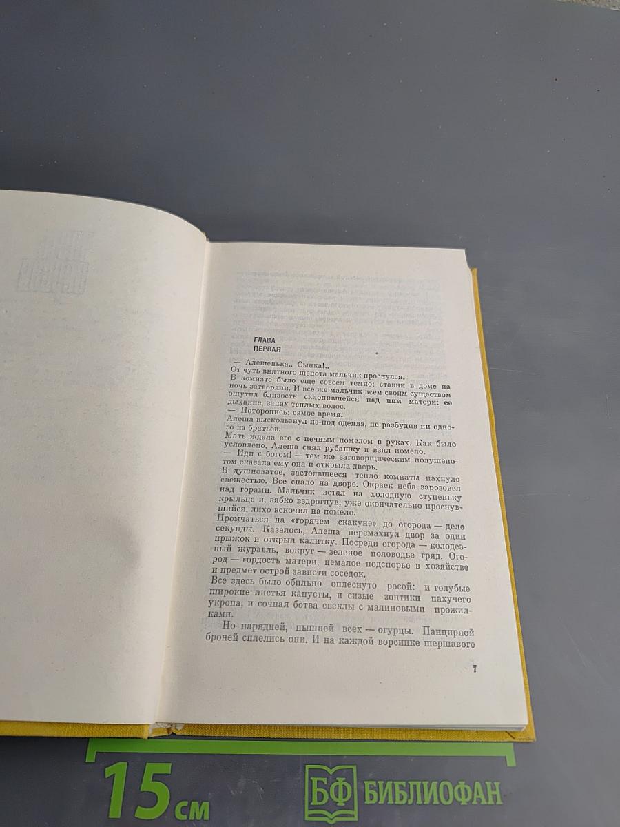 Жизнь Алексея Рокотова. Трилогия. Ранее утро. Книга первая