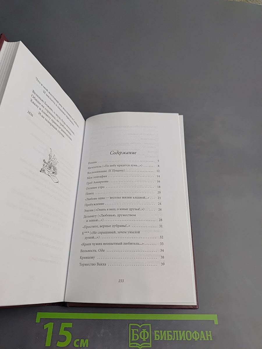 Александр Пушкин. Пророк. Серия Великие поэты
