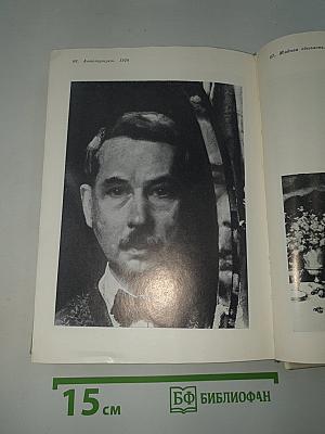 Константин Андреевич Сомов: Письма. Дневники. Суждения современников