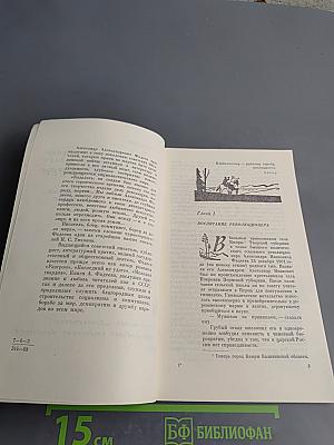 Александр Александрович Фадеев. Биография писателя