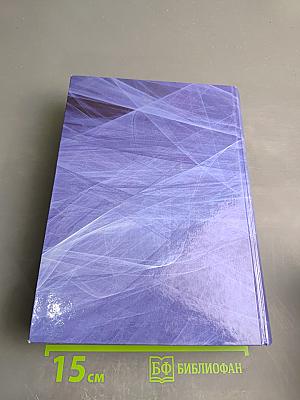 Вестник Национального института бизнеса. Выпуск 12