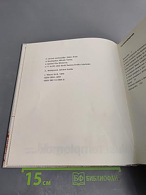 Magyar falusi templomok. Építészeti hagyományok