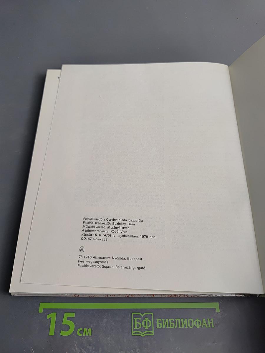 Magyar falusi templomok. Építészeti hagyományok