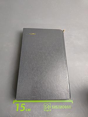 Поэтические течения в русской литературе конца XIX – начала XX века. Хрестоматия