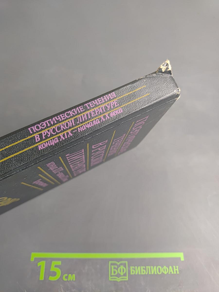 Поэтические течения в русской литературе конца XIX – начала XX века. Хрестоматия