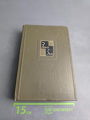 Собрание сочинений. Том 22. Четвероевангелие. Истина