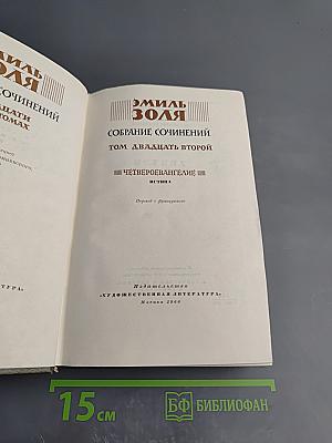 Собрание сочинений. Том 22. Четвероевангелие. Истина