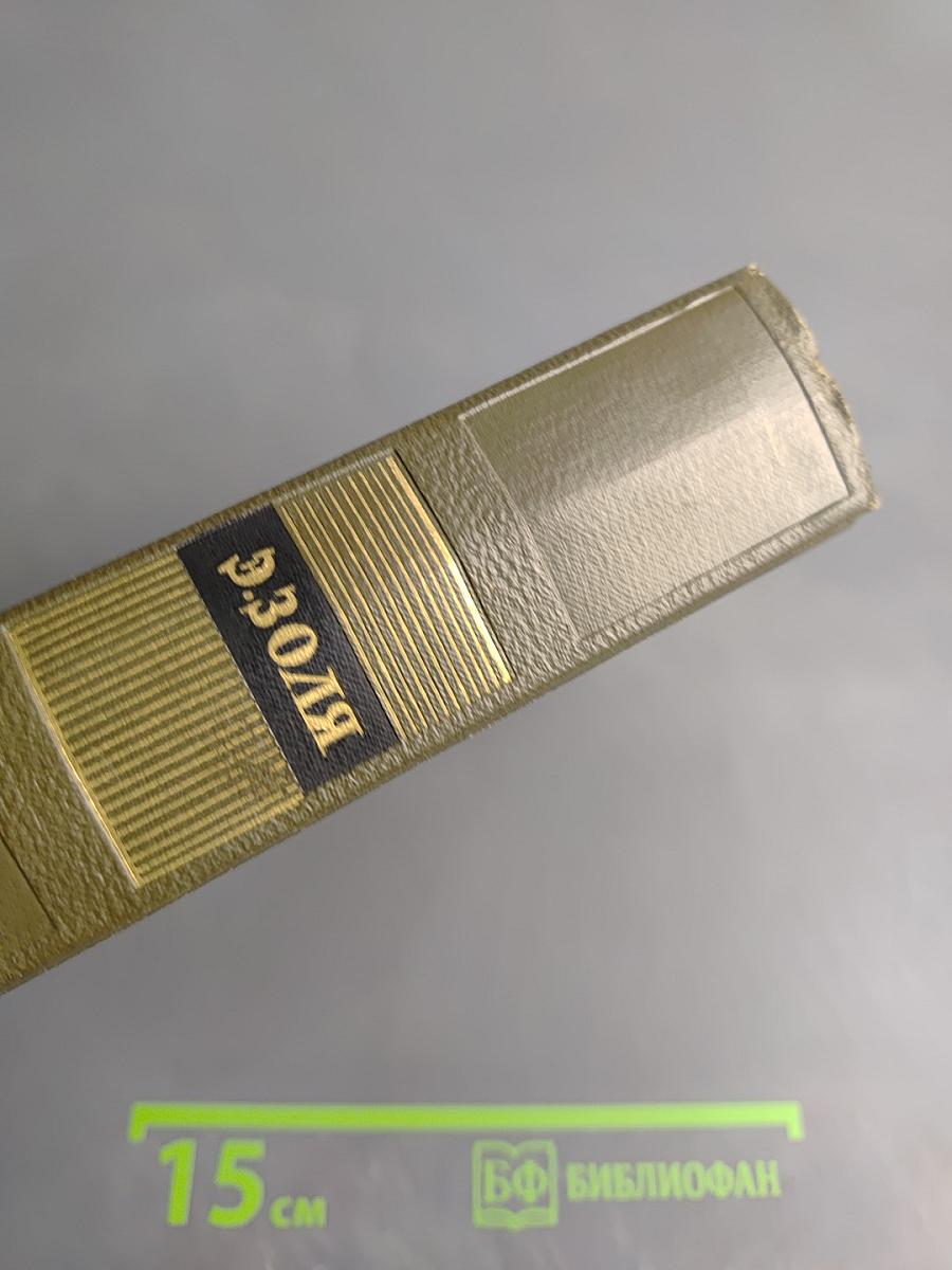 Собрание сочинений. Том 22. Четвероевангелие. Истина