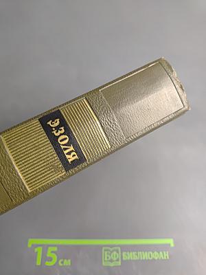 Собрание сочинений. Том 22. Четвероевангелие. Истина