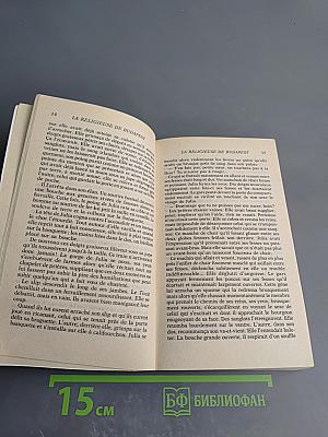 La Religieuse de Budapest