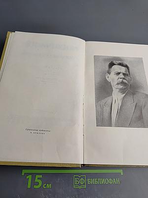 Собрание сочинений. Том 1. Произведения 1892-1896