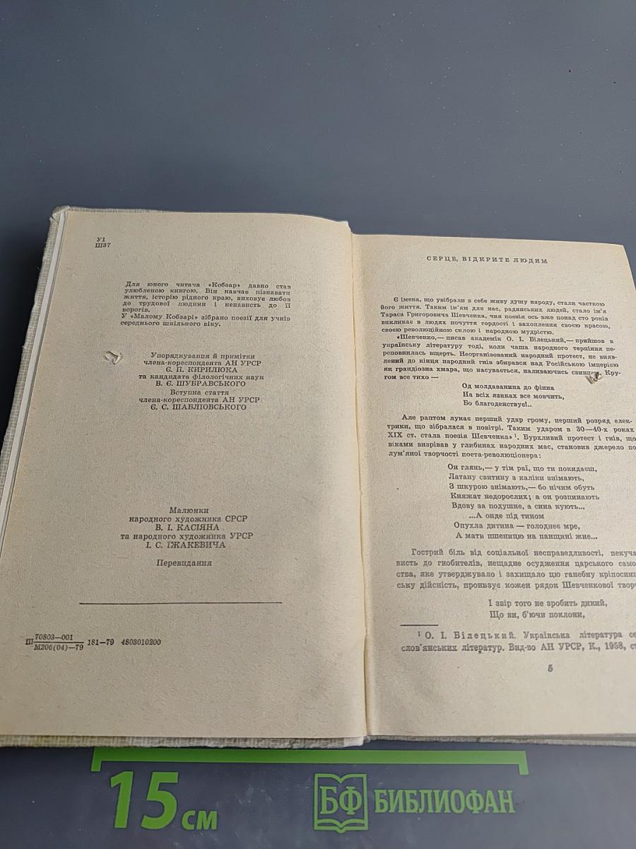 Малий Кобзар