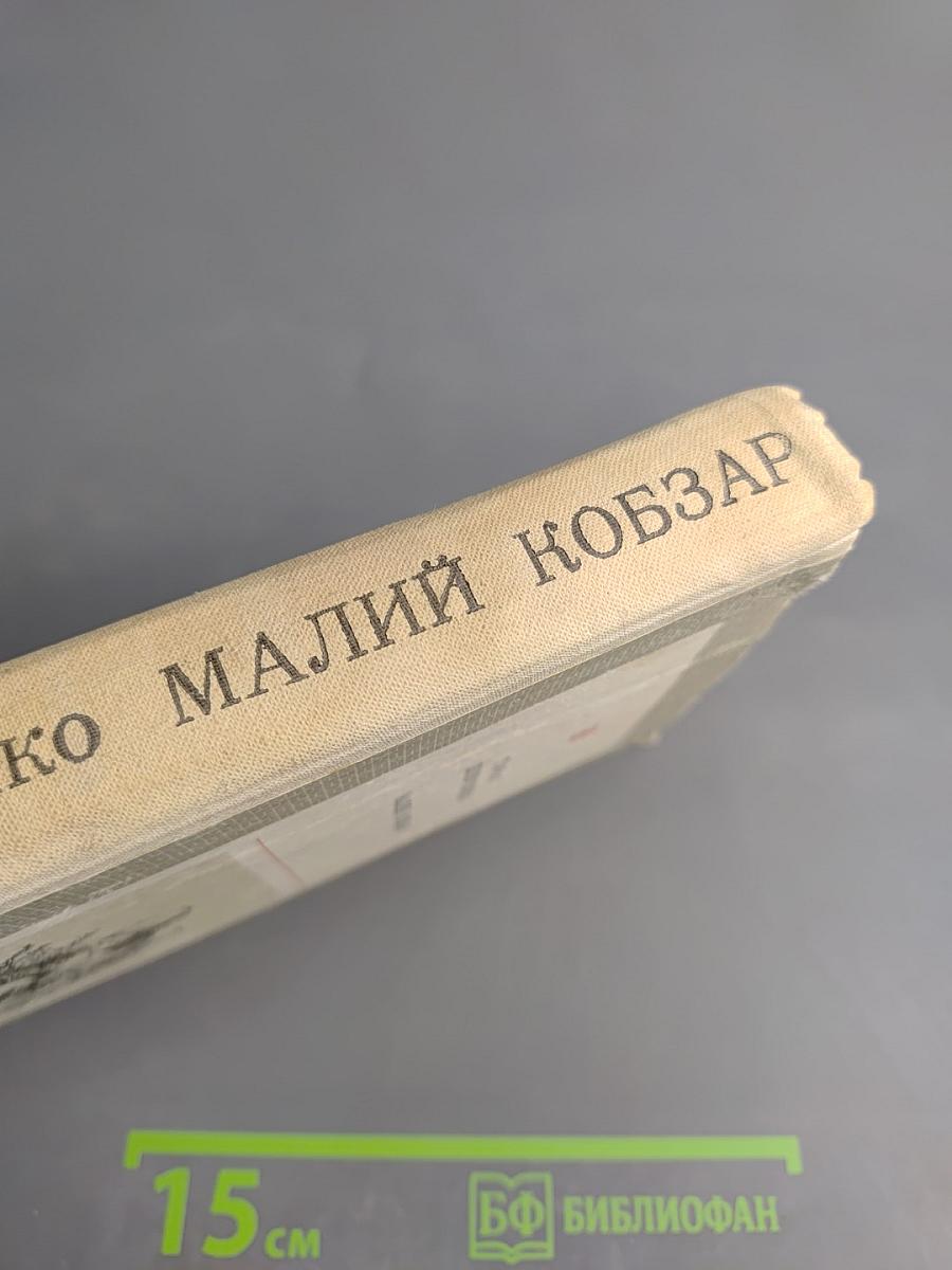 Малий Кобзар