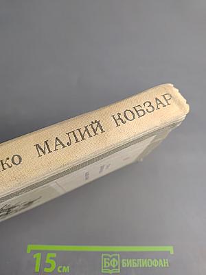 Малий Кобзар