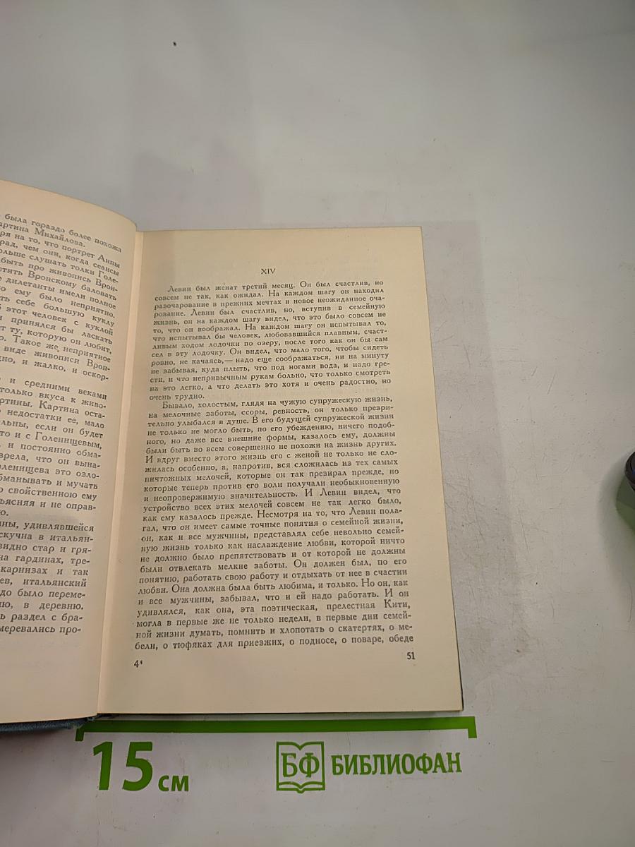 Анна Каренина. Том девятый (Собрание сочинений в четырнадцати томах)