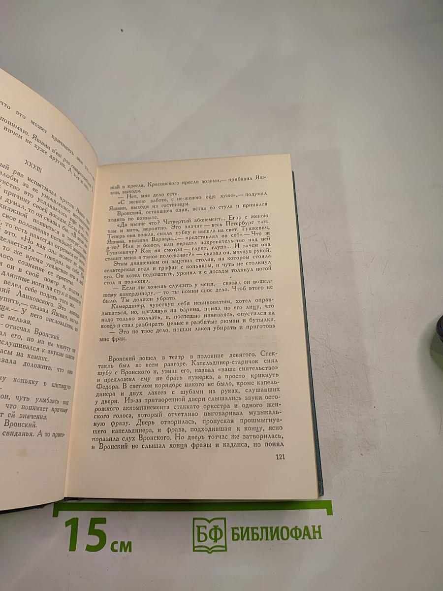 Анна Каренина. Том девятый (Собрание сочинений в четырнадцати томах)